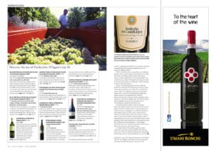 Balciana 2007 - 95/100 (1st place in the top 10) - Decanter Special Italy Issue 2013